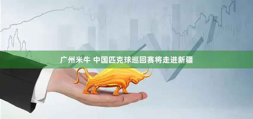 广州米牛 中国匹克球巡回赛将走进新疆