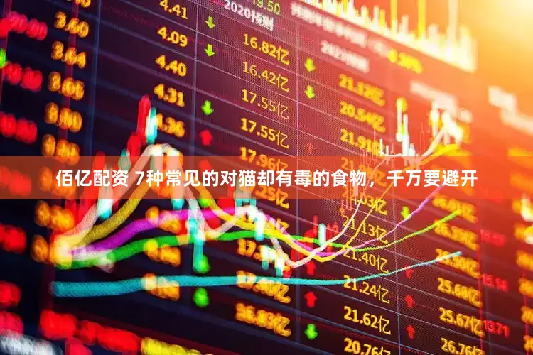 佰亿配资 7种常见的对猫却有毒的食物，千万要避开
