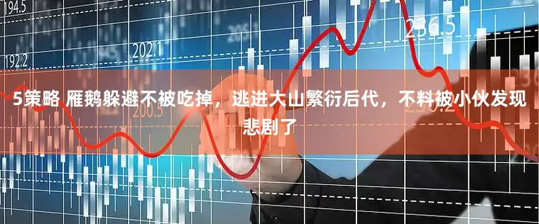 5策略 雁鹅躲避不被吃掉，逃进大山繁衍后代，不料被小伙发现悲剧了