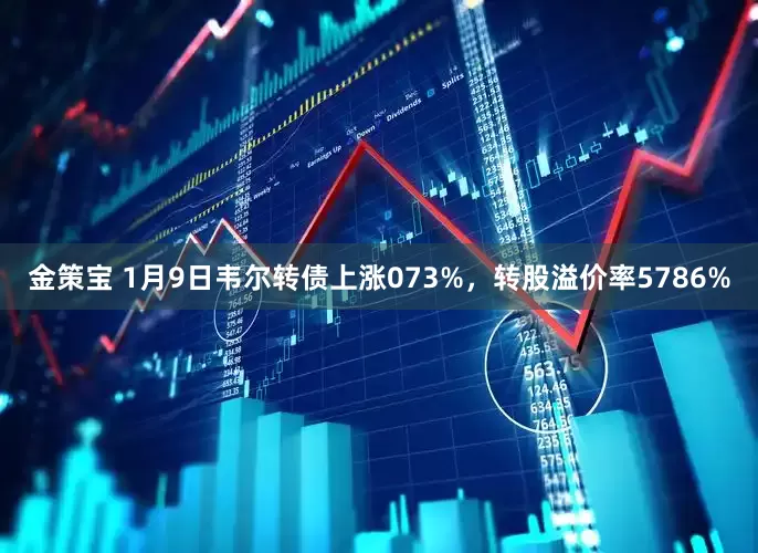 金策宝 1月9日韦尔转债上涨073%，转股溢价率5786%